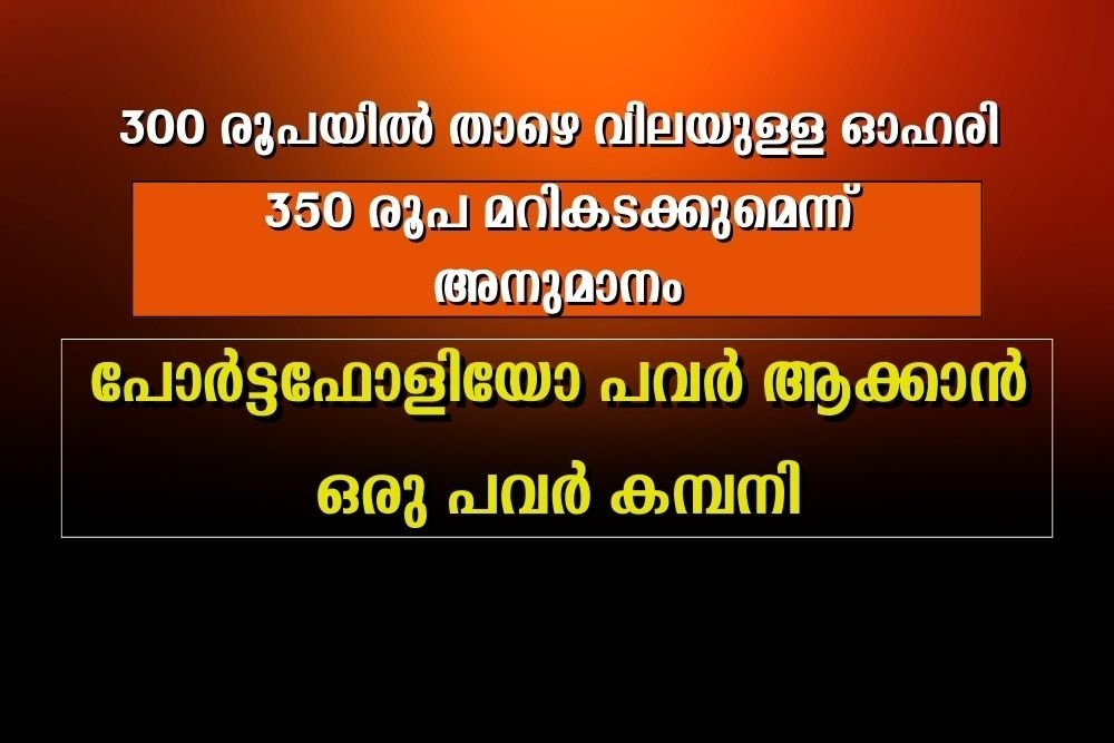 പോർട്ടഫോളിയോ പവർ ആക്കാൻ ഒരു പവർ കമ്പനി